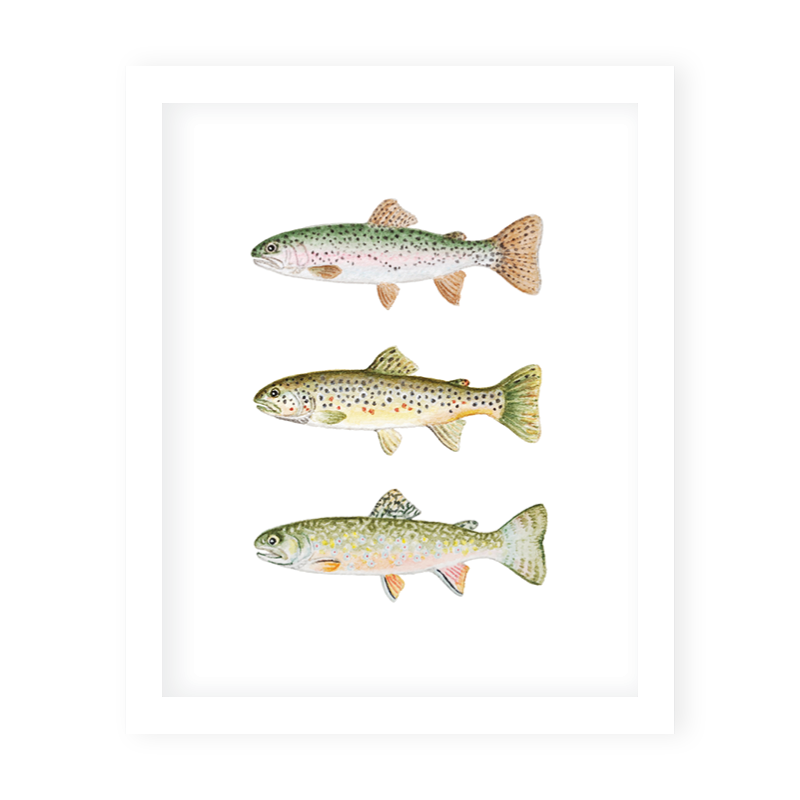 Dog Fish Art Trout Art, Fly Fishing Gift - Trout Fishing Wall Art. Colorful  Fly Fishing Decor Choice of Sizes Modern Fisherman Artwork Print Hand