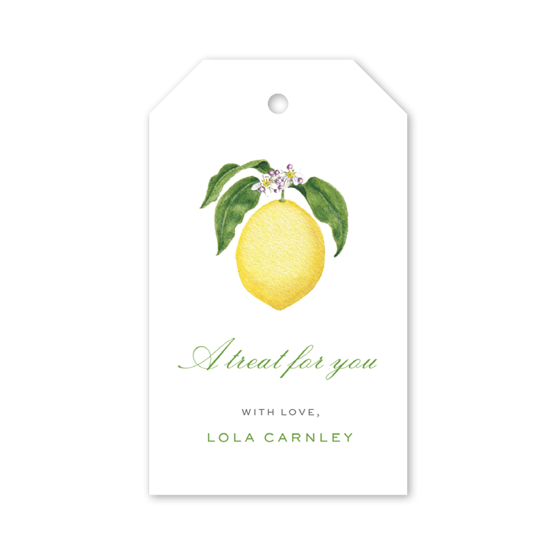 Gift Bag & Tag - Lemons - Plymouth Cards